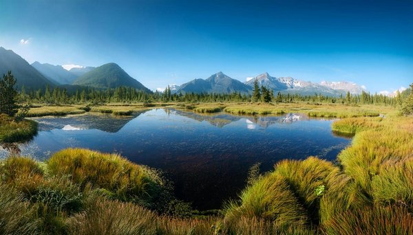Les avantages d'une promo croisière pour les croisières fluviales