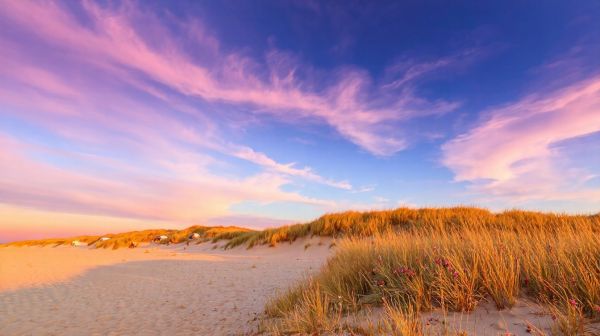 Top activités de plein air au camping les Dunes en Vendée